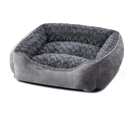 Hundebett Hundekorb Katzenbett Hundekörbchen Waschbares, Abnehmbares Bett Für Mittelgroße Kleine Hunde Mit Seitlichem Katzenbett Für Hauskatzen, Langlebiges Haustierbett Haustierbett Hundesofa ( Color von UTOQIA