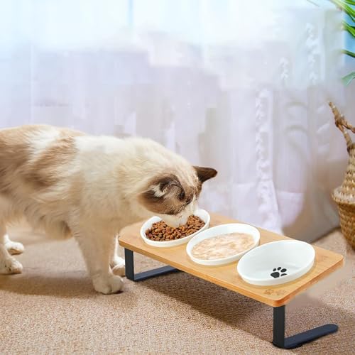 UUE Futternapf Katze, Katzennapf Erhöht Fressnapf Katze mit 10° Neigung Design, Katzennäpfe 3-Set, Katzenfutternapf für Futter und Wasser, perfekt für Katzen, Welpen und kleine Hunde von UUE