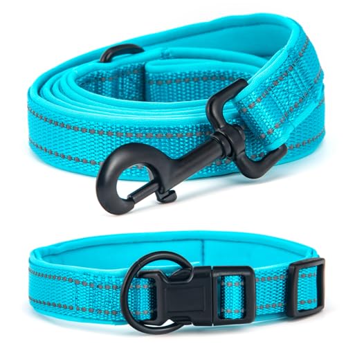 Bequemes Hundehalsband Set mit täglichem Halsband und Leine Blau L - Genießen Sie angenehme Erfahrungen mit Ihrem Haustier! von UVTQSSP