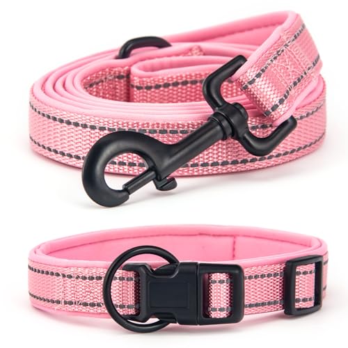 Bequemes Hundehalsband Set mit täglichem Halsband und Leine Rosa L - Genießen Sie angenehme Erfahrungen mit Ihrem Haustier! von UVTQSSP