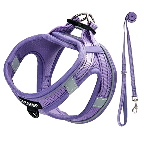 Hundegeschirr Kleine Hunde Lila Gepolstert, Welpengeschirr, Dog Harness Geschirr Hunde Klein XXS von UVTQSSP