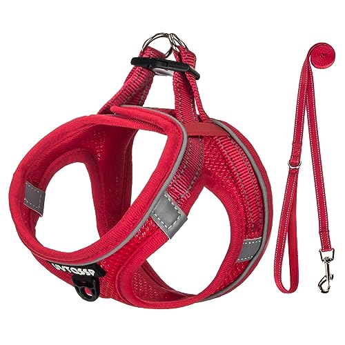 Hundegeschirr Kleine Hunde Rot Gepolstert, Welpengeschirr, Dog Harness Geschirr Hunde Klein XS von UVTQSSP