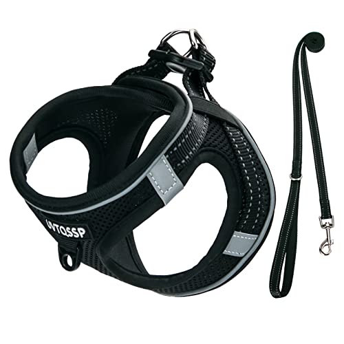 Hundegeschirr Kleine Hunde Schwarz Gepolstert, Welpengeschirr, Dog Harness Geschirr Hunde Klein XXS von UVTQSSP