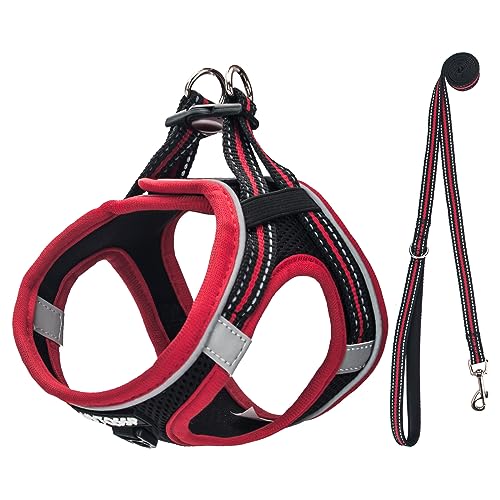 UVTQSSP Hundegeschirr Kleine Hunde mit Leine Gepolstert, Welpengeschirr, Dog Harness Hunde Geschirr Klein, Schwarz&Rot M von UVTQSSP