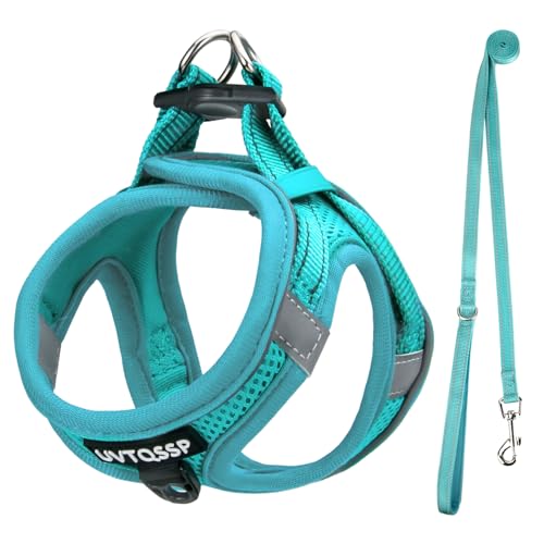 UVTQSSP Hundegeschirr Kleine Hunde mit Leine Gepolstert, Welpengeschirr, Dog Harness Hunde Geschirr Klein, Hellblau S von UVTQSSP