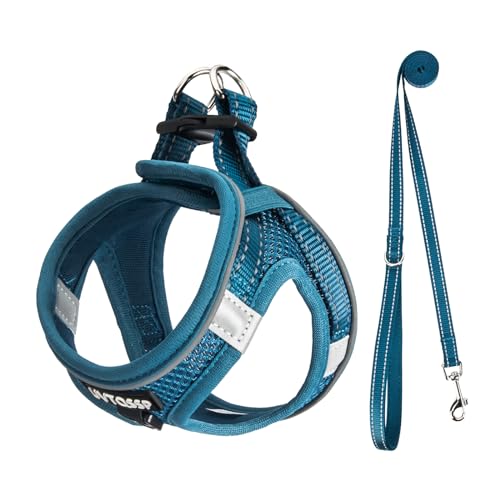 UVTQSSP Hundegeschirr Kleine Hunde mit Leine Gepolstert, Welpengeschirr, Dog Harness Hunde Geschirr Klein, Indigo blau S von UVTQSSP