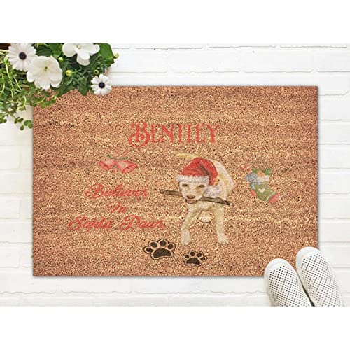 Kofferraum-Tablett "Merry Christmas", Weihnachtsmütze, Veranda, Willkommensmatten, Veranda, leicht zu reinigen, Believe in Santa Paws Kokosfasermatte für Haustür, Outdoor, Eingang, 40,6 x 61 cm von UanMere