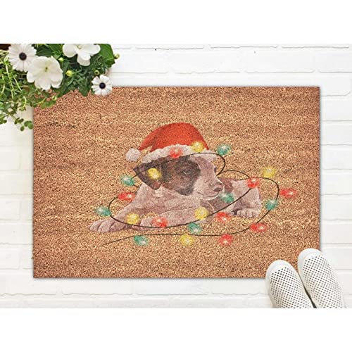 Kokosfasermatte, wetterbeständig, Weihnachtshund mit Lichtern, Innenmatte, 40,6 x 61 cm, Geschenke für Hundeliebhaber, natürliche Kokosnuss-Matte für den Außen- und Innenbereich, Heimdekoration von UanMere