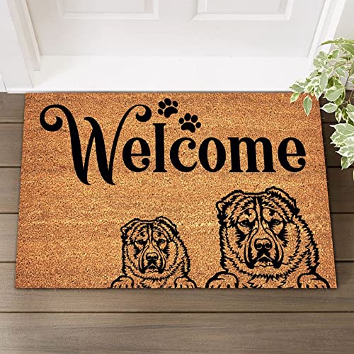 Pet Dog Lover Gift Funny Sprüche Worte Kokosfaser Matte Welcome Dog Home Indoor Outdoor Teppich Rutschfest Teppich Eingangsmatte für Outdoor und Innenbereich, Heimdekoration 40,6 x 61 cm von UanMere