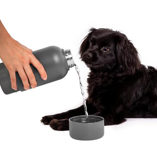 Ubbi Pup & Me Stainless Steel Insulated Portable 32 oz. Water Bottle for Dogs and Owners with Attached Dog Bowl, Charcoal von Ubbi