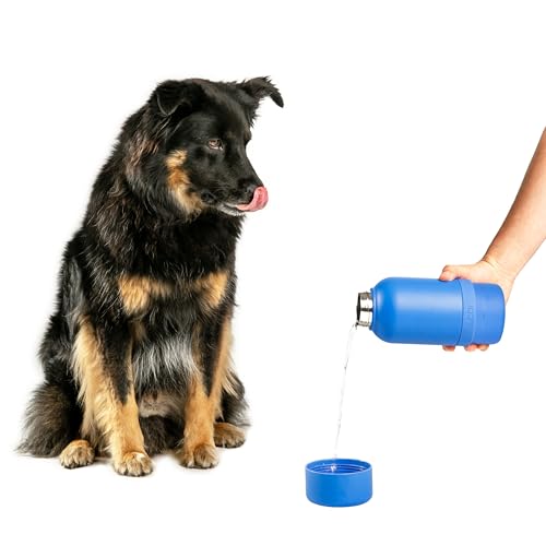 Ubbi Pup & Me Stainless Steel Insulated Portable 32 oz. Bottle for Dogs and Owners with Attached Dog Bowl, Blue von Ubbi