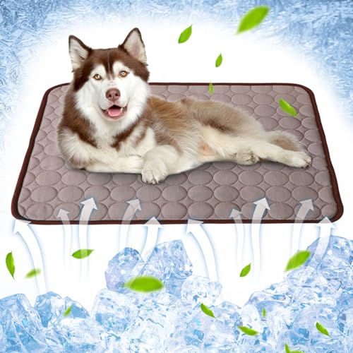 Ueiwffzo Kühlmatte Hund Kühlende Hundematte Sommer Schlafbett Kühl Hundedecke rutschfeste Hundematte für Zuhause (62X52CM,Braun) von Ueiwffzo