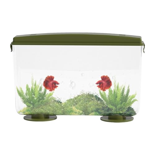 Uhngw Desktop-Goldfischaquarium, Goldfischaquarium, Flache, rechteckige Aquarien und Fischschüssel mit 360-Grad-Ansicht, Kompaktes kleines Aquarium für Tisch- oder Desktop-Display, einfache von Uhngw