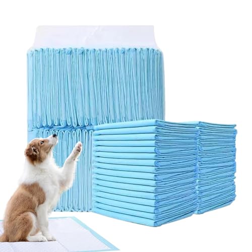 Uhngw Wee Wee Pads für Hunde,Puppy Pee Pads | Große Hunde-PIPI-Pads | Super saugfähige Haustierwindel, verdickte Windeleinlagen für Katzen und Hunde, schnell trocknende Oberflächenmatte, von Uhngw