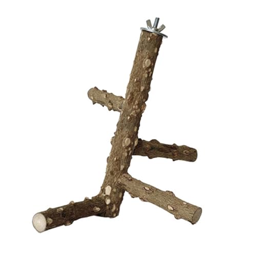 Papageien Sitzstangen Ständer drehbar Vogelspielzeug Vogelkäfig Unterhaltungsspielzeug für Spielen und Übung Papageien Kletterstruktur Papageien Sitzstangen Ständer drehbar Vogelspielzeug Vogelkäfig Unterhaltungsspielzeug für Spielen und Übung Papageien Kletterstruktur von Uitndvyte