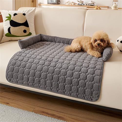 Uixxducc Sofaschutz Hund Decke mit Rand Hundekissen Waschbar Hundebett rutschfest Hundecouch 75x75 cm Hundematte für Mittelgroße Kleine Hunde (Dunkelgrau) von Uixxducc