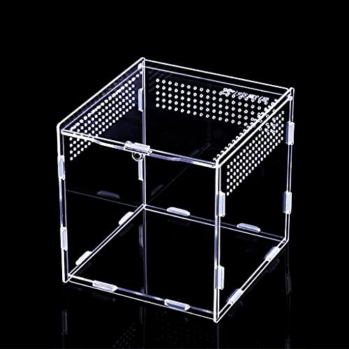 Futterbox Zuchtbox Tragbares Terrarium Transparenter Lebensraum 4 Personen von Ukbzxcmws