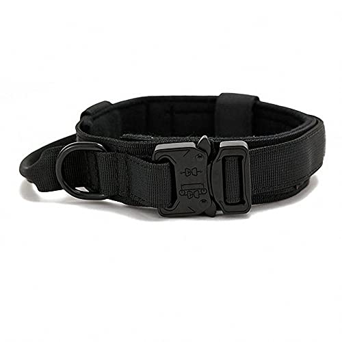 Einstellbare Hundehalsband Farben Klassisches Nylon Personalisierte Hundehalsbänder für Welpen kleine mittelgroße Hunde von Ulalaza