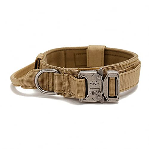 Einstellbare Hundehalsband Farben Klassisches Nylon Personalisierte Hundehalsbänder für Welpen kleine mittelgroße Hunde von Ulalaza