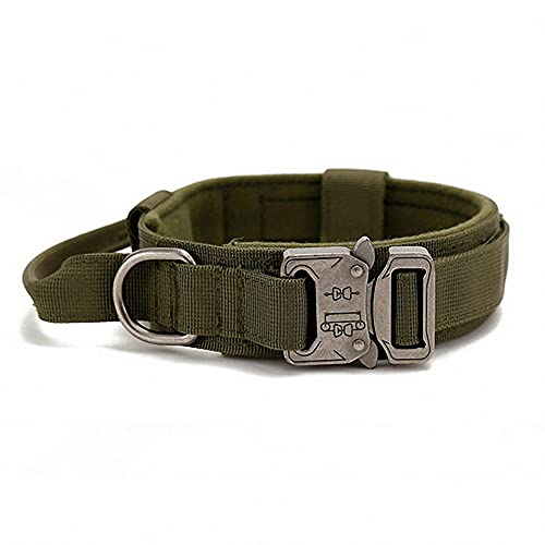 Einstellbare Hundehalsband Farben Klassisches Nylon Personalisierte Hundehalsbänder für Welpen kleine mittelgroße Hunde von Ulalaza