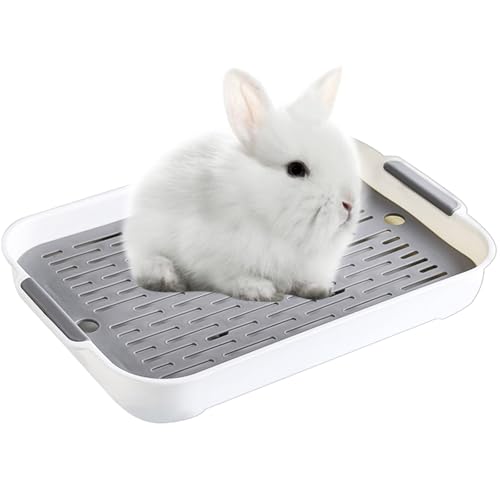 Kaninchen Toilette,Kleintier Katzentoilette,Haustier-WC Quadratisches Töpfchen für Haustiere,Kaninchenkäfig Toilette,Töpfchentrainer für Kaninchen Chinchilla Hamster,Weiss (Weiss,37 x 24 x 4.8 cm) von Ulawellor