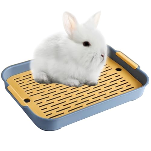 Kaninchen Toilette Tablett Hasentoilette Katzentoilette Hamster Toilette,Kunststoff Gitterrost Kaninchentoilette für Kleintier Chinchilla Hamster Hasen Meerschweinchen(Blau,Groß) von Ulawellor