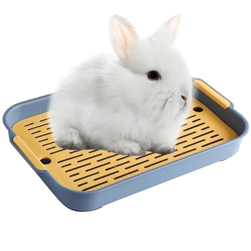 Kaninchen Toilette Tablett Hasentoilette Katzentoilette Hamster Toilette,Kunststoff Gitterrost Kaninchentoilette für Kleintier Chinchilla Hamster Hasen Meerschweinchen(Blau,Klein) von Ulawellor