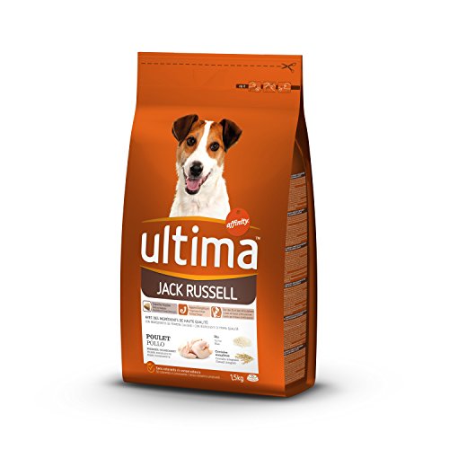 ULTIMA JACK RUSSEL 1,5 KG von Ultima