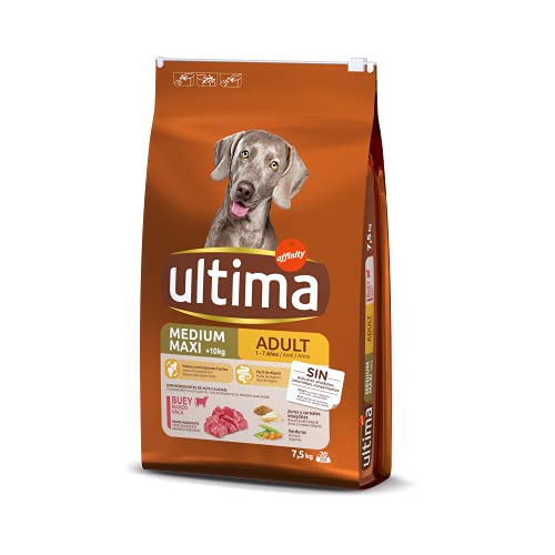 Ultima Medium-Maxi Adult Buey, Trockenfutter für Hunde, 7,5 kg von Ultima