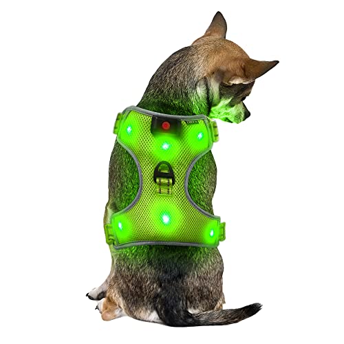 Klein Grün Wiederaufladbare USB LED Hundegeschirr Beleuchtetes Hundegeschirr Leuchtend Aufladbar Licht Hunde Weste LED Hund Geschirr LED Hundegeschirr Sicherheitsgeschirr Hund LED Hunde Zubehör von UltraByEasyPeasyStore