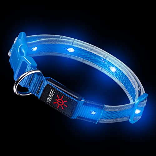 UltraByEasyPeasyStore Ultra LED Dog Collar Light Up Dog Collar USB Rechargeable Light Collar Hi Vis (Blue, Large) von UltraByEasyPeasyStore