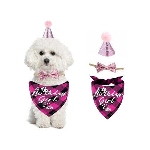 Hunde-Geburtstagstuch, Hunde-Geburtstagshut, Fliege, blau-rosa Hunde-Geburtstagsset für Jungen und Mädchen, Geburtstagstuch, Halsband, personalisierbar, Hundehalstuch, Bandana, von Umimiss