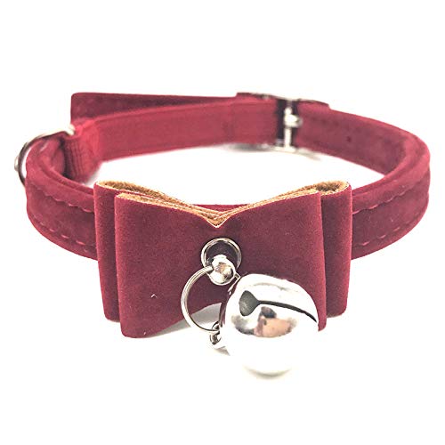 Générique Halsband für Hunde / Katzen, Welpen, mit verstellbarem Verschluss, Halsband, Rot von Unbekannt