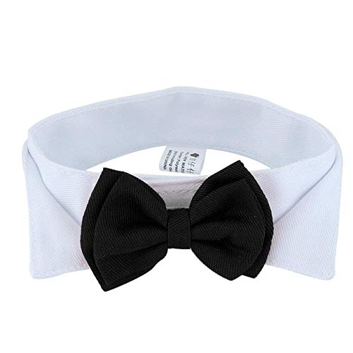 Haustier-Halsband für Welpen, Kätzchen, Hund, Katze, verstellbar, schwarz, Schleife, Krawatte, Bowknot, Kleidung, praktisch und praktisch von Unbekannt