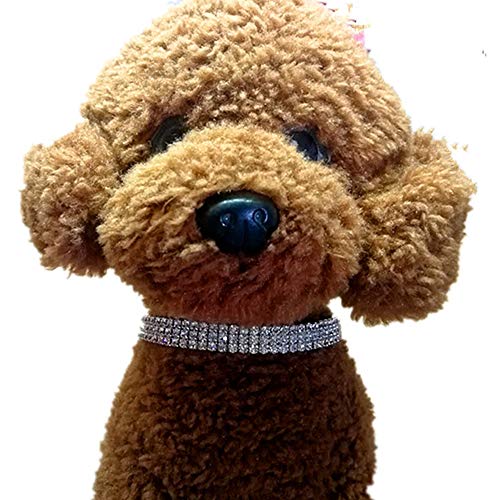 Hundehalsband, Mini-Hundehalsband, niedlich, Bling Strass, Halsband, Chihuahua, M, robust und kostengünstig von Unbekannt