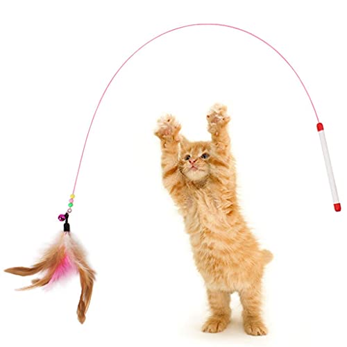 Katzenfeather Toy Kitten Interaktive Wand Toys Katze Teaser Stick Pet Supplies Best Geschenk für Indoor Kitty und Katzen, 1 Stück New Released and Popular von Unbekannt