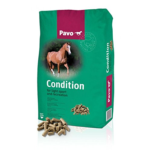 Pavo Condition 20kg von Pavo