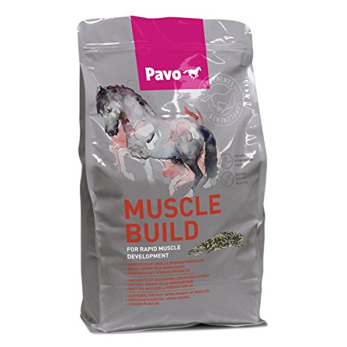 Pavo MuscleBuild 3 kg von Unbekannt