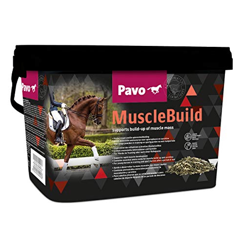 Pavo MuscleBuild | Für ein starkes und muskulöses Pferd | 3 KG von Pavo