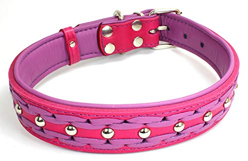 Unbekannt Sulla Echtleder gepolstertert Handmade Hundehalsband in modischen Farben geflochten M/L/XL/XXL von Unbekannt