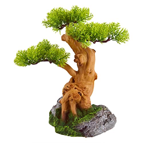 Underwater Treasures Alter Bonsai-Baum von Underwater Treasures