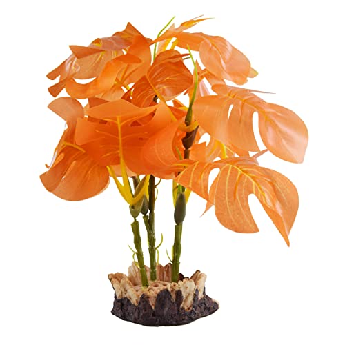 Underwater Treasures Monstera - Orange - Small von Underwater Treasures