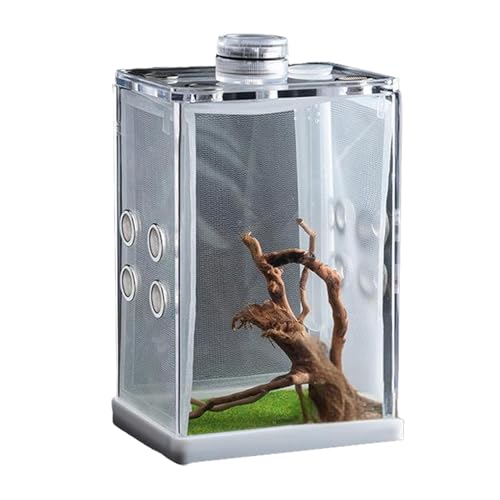 Jumping Spider Enclosure, Fish Breeding Tanks, Reptile Habitat Cage, Amphibian Housing Tank with Breathable and Well Ventilated Design for Small Pets, 1 Piece von Ungtyb