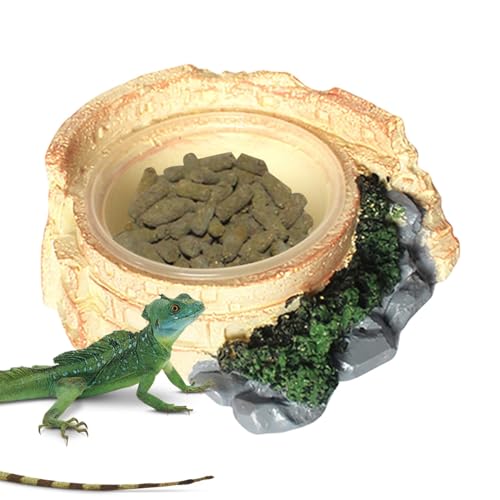 Reptile Dish, Lizard Water Bowl, Terrarium Feeding Bowl, Schildkröte Food Dish with Stable and Spill Resistant for Small Turtles, Lizards, or Amphibians, 1 Piece von Ungtyb