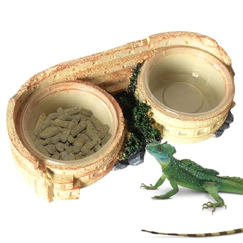 Reptile Dish, Lizard Water Bowl, Terrarium Feeding Bowl, Schildkröte Food Dish with Stable and Spill Resistant for Small Turtles, Lizards, or Amphibians, 1 Piece von Ungtyb