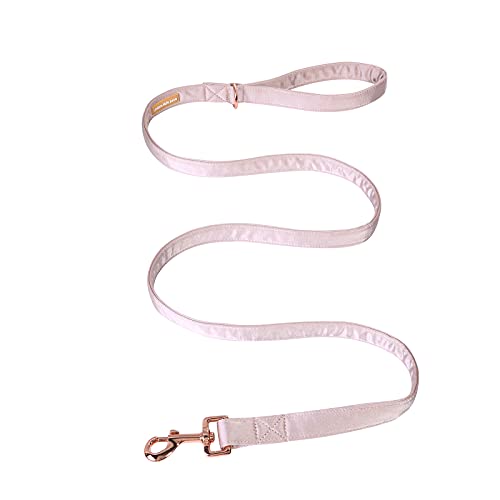 Die Hundeleine aus Seide von Unique style paws ist langlebig, mit geschweißtem D-Ring, bequemem Griff, für kleine, mittelgroße und große Hunde. Die Hundeleine aus Seide von Unique style paws ist langlebig, mit geschweißtem D-Ring, bequemem Griff, für kleine, mittelgroße und große Hunde. von Unique style paws