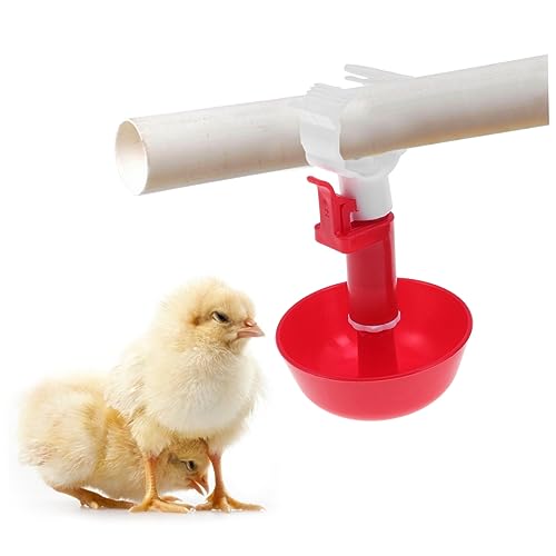 10St vogelfutterspender vogelfutterhäuschen Wachtel-Feeder automatischer Wasserspender klein Wassernäpfe für Küken Trinkbecher für Vogelwasser Huhn Automatischer Trinkbrunnen Feder von Unomor