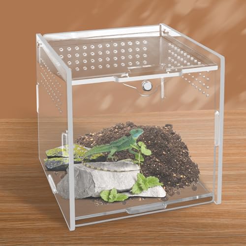 Unvtap Reptile Fütterungsbox, Vivarium, Acryl Terrarium Glas, Faunarium, Insekten Terrarium, Reptilien Fütterungsbox für Eidechsen, Springspinne, Schnecken, Hornfrösche und Käfer(10cm x 10cm x 10cm) von Unvtap