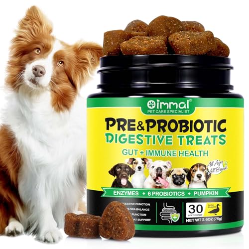 Probiotische Kausnacks für Hunde, prä- und verdauungsfördernde und immunstärkende Leckerbissen, saisonale Allergien, juckende Haut, weiche Nahrungsergänzung für das Immunsystem von Haustieren(30Stück) Probiotische Kausnacks für Hunde, prä- und verdauungsfördernde und immunstärkende Leckerbissen, saisonale Allergien, juckende Haut, weiche Nahrungsergänzung für das Immunsystem von Haustieren(30Stück) von Uocasi