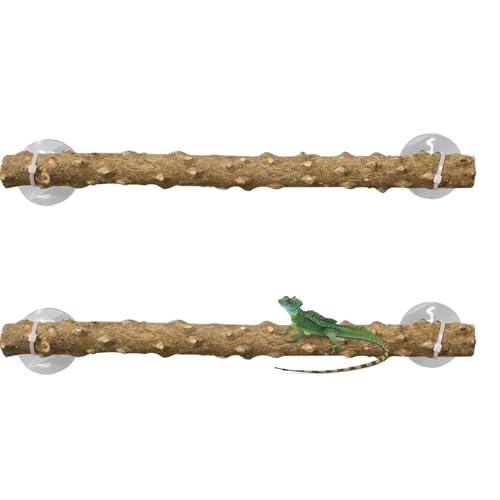 Natural Branches Reptiles | Lizard Climbing Pole Set | Reptile Corner Branches for Climbing | Stable Accessories for Snakes, Lizards, and Bearded Dragons in Reptile Tanks von Uonguon